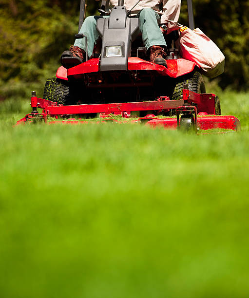 Man mowing lawn Gardener in the park on a lawn cutting tractor machine garden tractor stock pictures, royalty-free photos & images