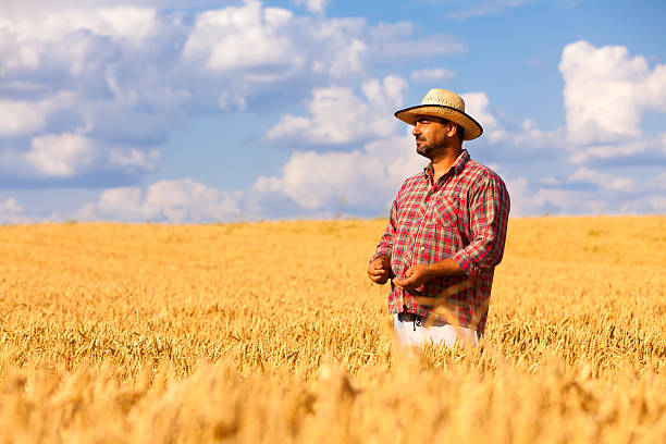 istock Farmer  Standing In The Wheat Field 186821954