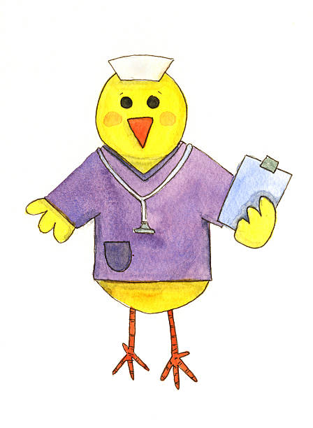 illustrazioni stock, clip art, cartoni animati e icone di tendenza di infermiera chick - nurse standing white background beauty