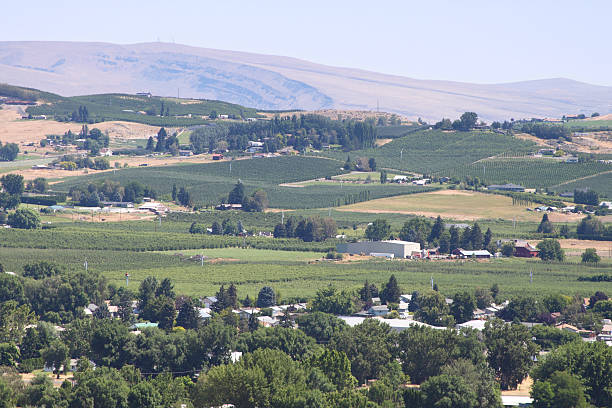 istock Yakima farmland 186822137
