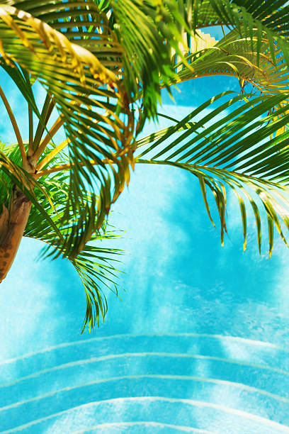 istock Tropical Vacation Swimming Pool with Palm Trees Vt 186822519