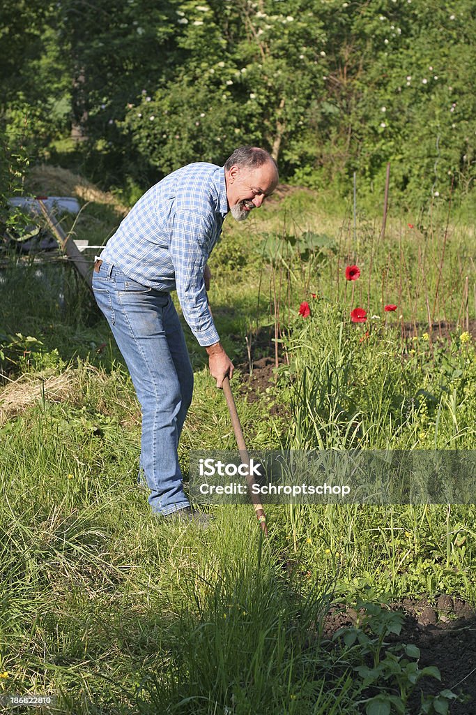 Agricultura de Jardinagem - Royalty-free Adulto Foto de stock