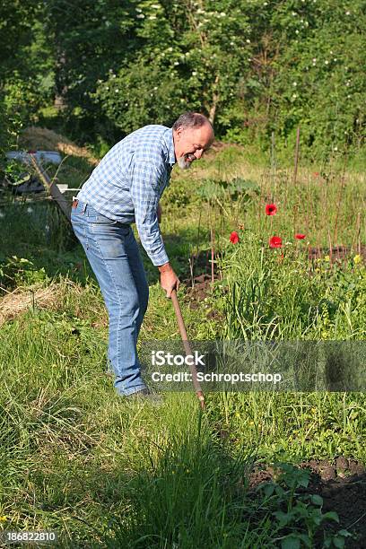 Agricultura De Jardinagem - Fotografias de stock e mais imagens de Adulto - Adulto, Agricultor, Agricultura