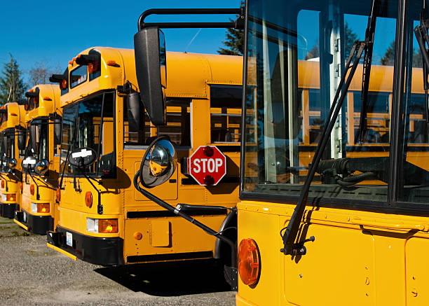 istock Row of yellow school buses 186822858