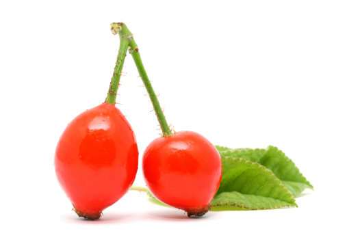 Two red rose hips with leaves on white background