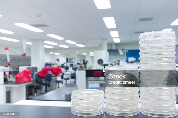 El Laboratorio De Microbiología Foto de stock y más banco de imágenes de Agar-agar - Agar-agar, Asistencia sanitaria y medicina, Bacteria