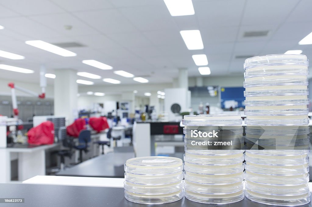 O Microbiologia laboratório - Royalty-free Amostra Médica Foto de stock