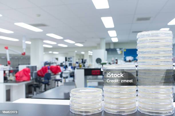 O Microbiologia Laboratório - Fotografias de stock e mais imagens de Amostra Médica - Amostra Médica, Bactéria, Biologia