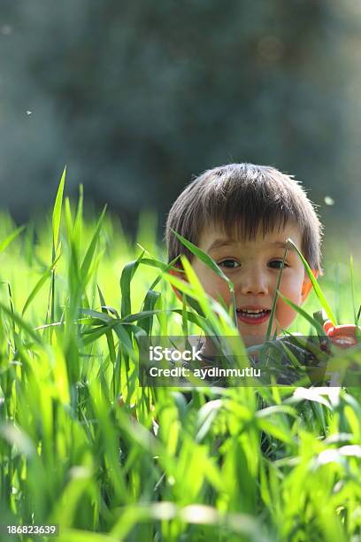 Felice Ragazzo - Fotografie stock e altre immagini di 2-3 anni - 2-3 anni, Allegro, Ambientazione esterna