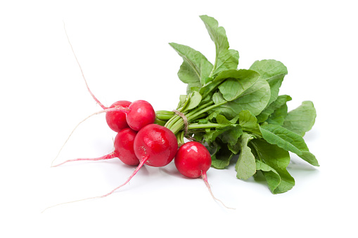 Radish fresh