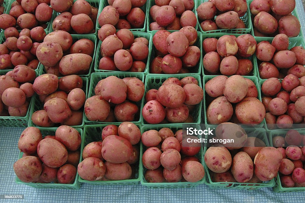 Reihen Rote Kartoffeln - Lizenzfrei Bauernmarkt Stock-Foto