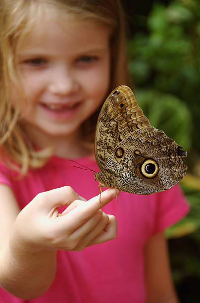 istock Young girl holding large butterfly 186823848