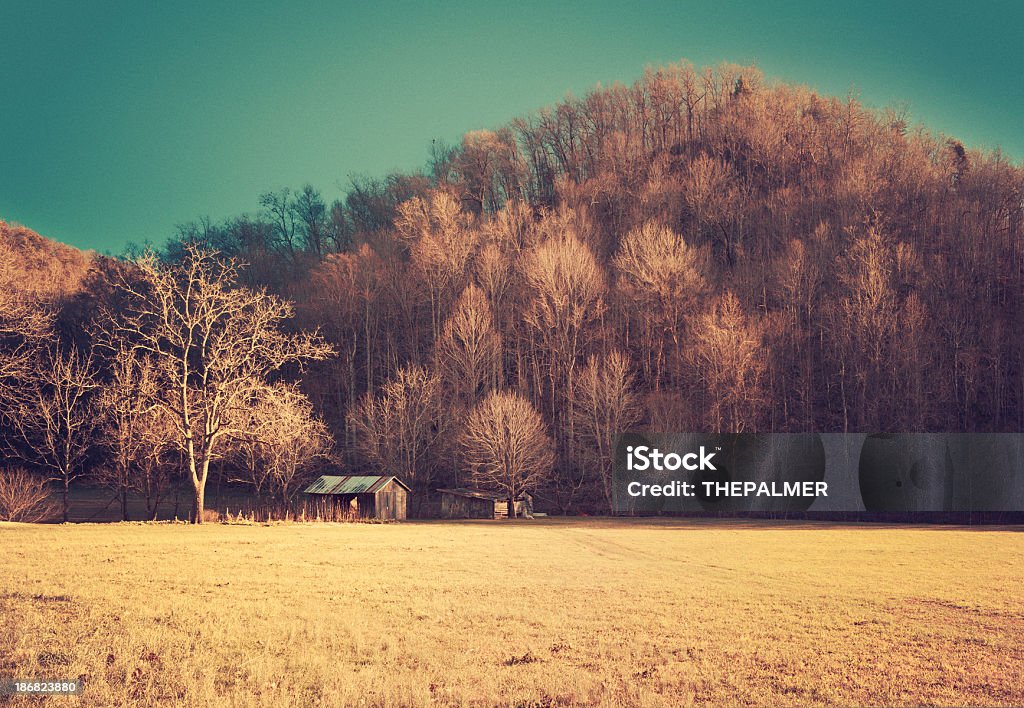 old shack in tennessee "winter scene - old shack surrounded by leafless trees in wears valley - tennessee, usa" Abandoned Stock Photo