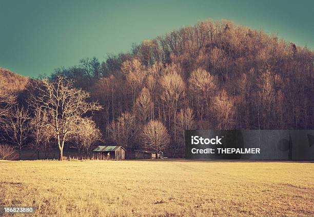 Old Barraca No Tennessee - Fotografias de stock e mais imagens de Abandonado - Abandonado, Ajardinado, Bairro de Lata