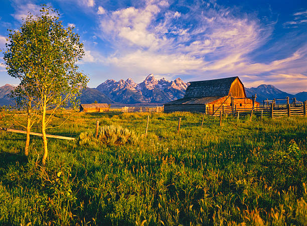istock Grand Teton National Park 186823900
