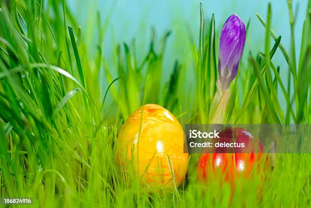 Ostern Eier Und Krokus Stockfoto und mehr Bilder von Blau - Blau, Blume, Blume aus gemäßigter Klimazone