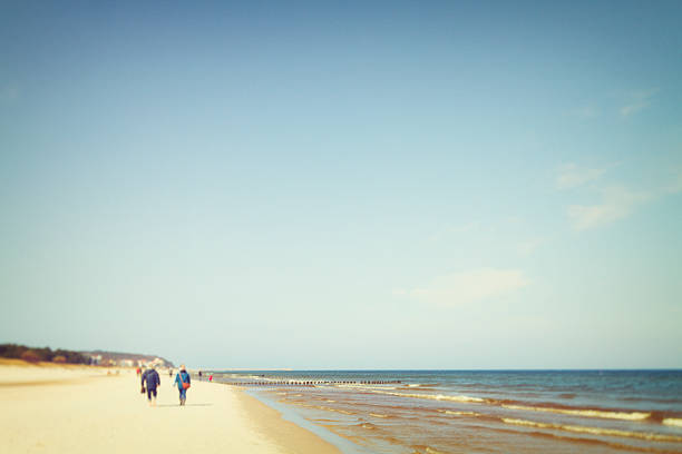 istock Sunny day at the Baltic Sea 186825129