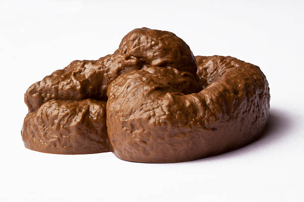 Poop stock photo