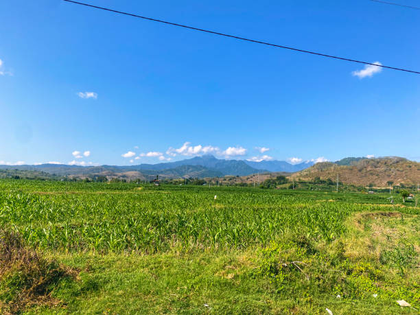 istock a wonderfull of indonesian paradise 1868256795