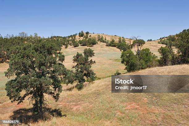 Golden Rolar Hills Sob Um Céu Azul Junto Williams Califórnia - Fotografias de stock e mais imagens de Cena Não Urbana