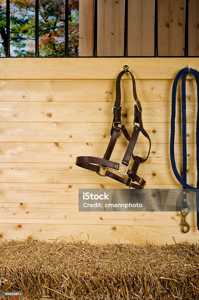 Box de cavalo - Foto de stock de Agricultura royalty-free