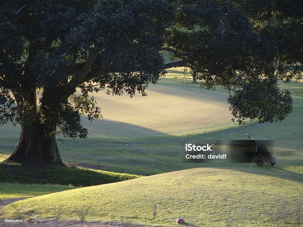 Golf por la tarde - Foto de stock de Actividades recreativas libre de derechos