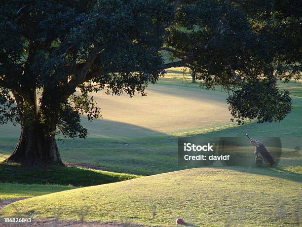 Golf Por La Tarde Foto de stock y más banco de imágenes de Actividades recreativas - Actividades recreativas, Bolsa - Objeto fabricado, Campo de Golf