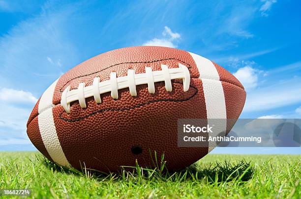 レザーのグラスのアメリカンフットボールピッチブルースカイ - アメフトボールのストックフォトや画像を多数ご用意 - アメフトボール, サッカーボール, 芝草