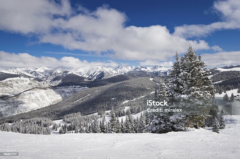 Panorama de montanhas rochosas no Colorado, EUA. - Royalty-free Choupo tremedor Foto de stock