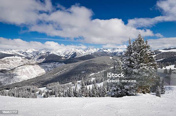 Panorama De Montanhas Rochosas No Colorado Eua - Fotografias de stock e mais imagens de Choupo tremedor - Choupo tremedor, Pista de Esqui, Abeto