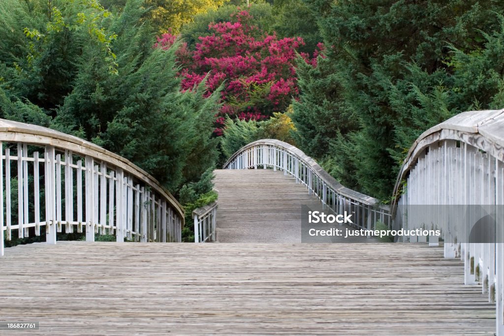 Most w Pullen Park - Zbiór zdjęć royalty-free (Raleigh)