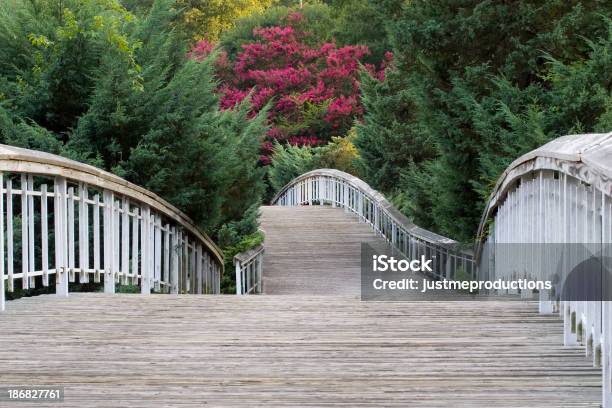 Most W Pullen Park - zdjęcia stockowe i więcej obrazów Raleigh - Raleigh, Park publiczny, Ścieżka