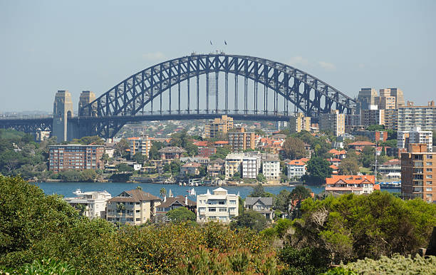 сиднейский харбор бридж из таронга - taronga стоковые фото и изображения