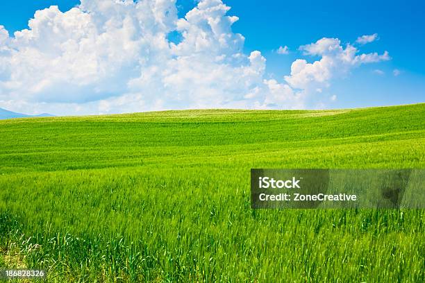 Foto de Bela Ao Ar Livre Com Vista Para O Campo Verde Com Céu Azul E Nuvens e mais fotos de stock de Agricultura