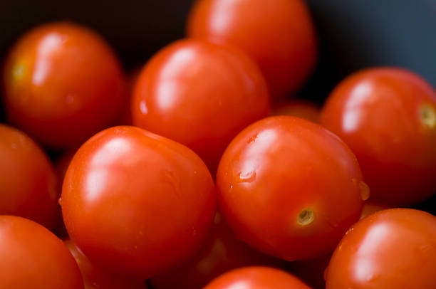 Italian Vine Cherry Tomatoes stock photo