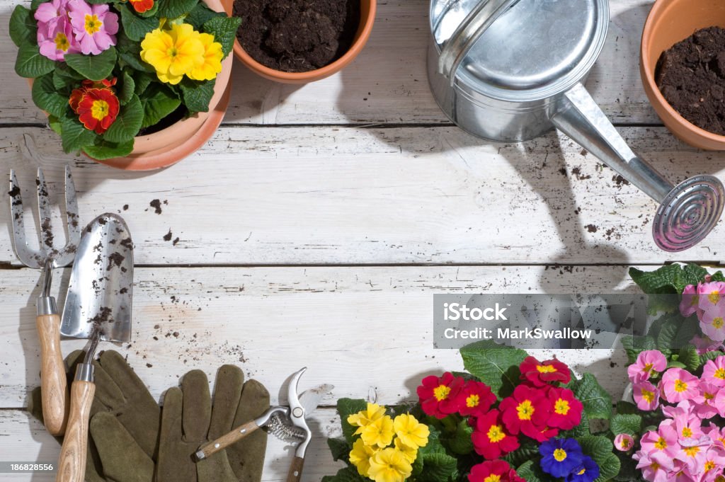 Mettre en pot de plantes - Photo de Arrosoir libre de droits