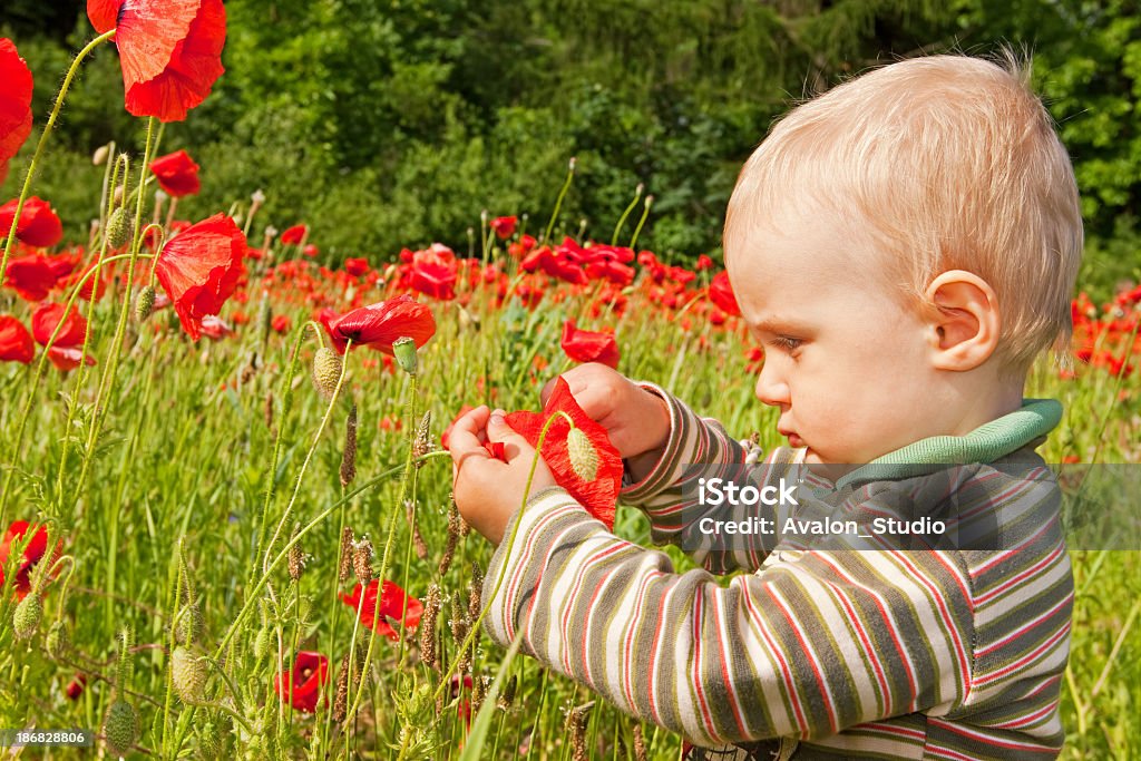 Kinder und rote poppies - Lizenzfrei 12-23 Monate Stock-Foto