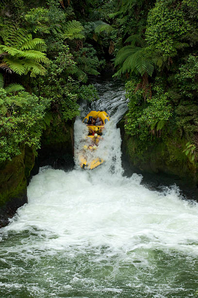 Whitewater rafting in the rainforest stock photo