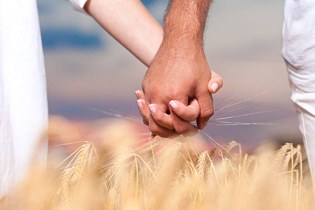 istock Young Couple Holding Hands In The Wheat Field 186829304