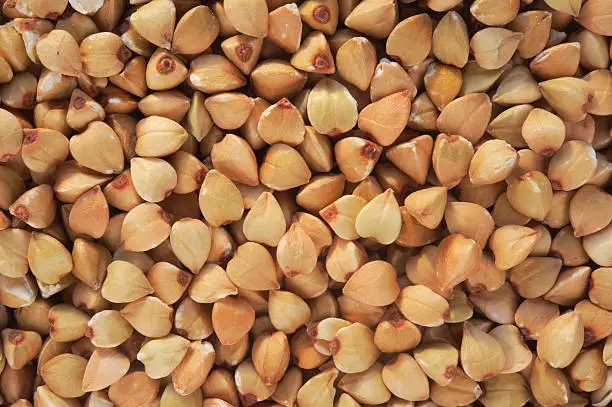 Photo of Buckwheat Background