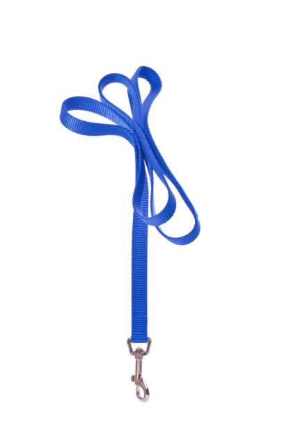 Dog Leash Classic Blue Nylon Dog LeashPLEASE CLICK ON THE IMAGE BELOW TO SEE MY DOGGY LIGHTBOX PORTFOLIO: pet leash photos stock pictures, royalty-free photos & images