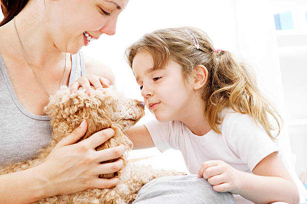 istock Mother and daughter having fun with brown poodle 186829605