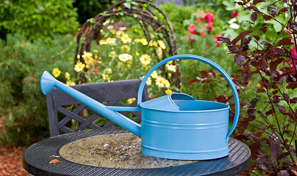 istock Watering Can ... Against Garden Background 186829985