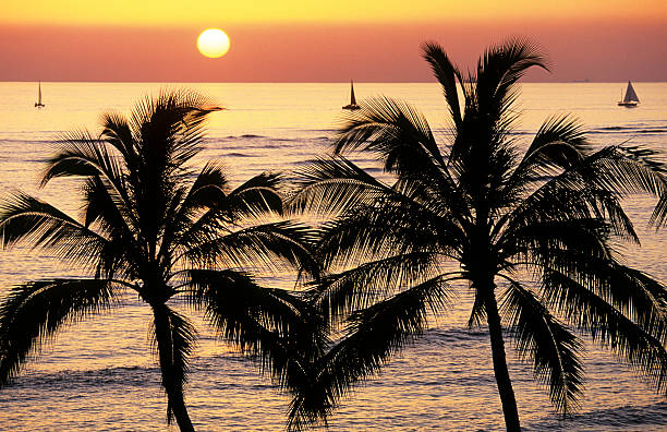 istock USA Hawaii O'ahu, Waikiki Beach. 186831297