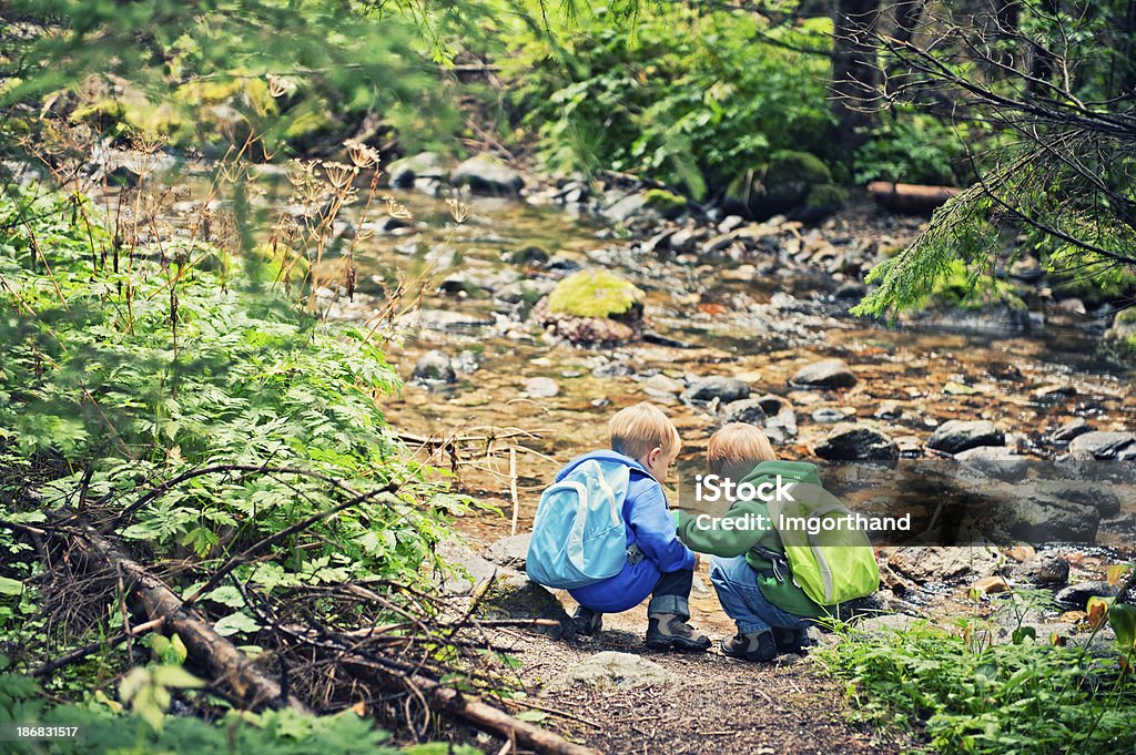 Little caminhada na corrente - Royalty-free 2-3 Anos Foto de stock