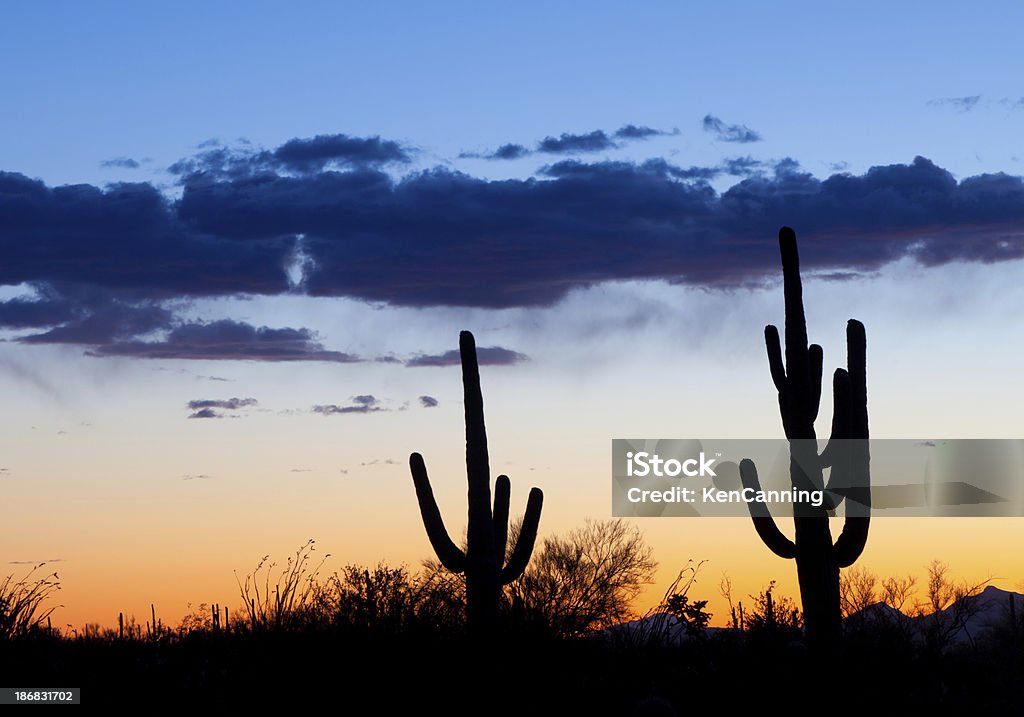 Cato Deserto ao pôr do sol - Royalty-free Amanhecer Foto de stock