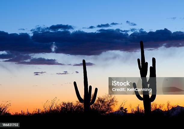 Cato Deserto Ao Pôr Do Sol - Fotografias de stock e mais imagens de Amanhecer - Amanhecer, América do Norte, Anoitecer