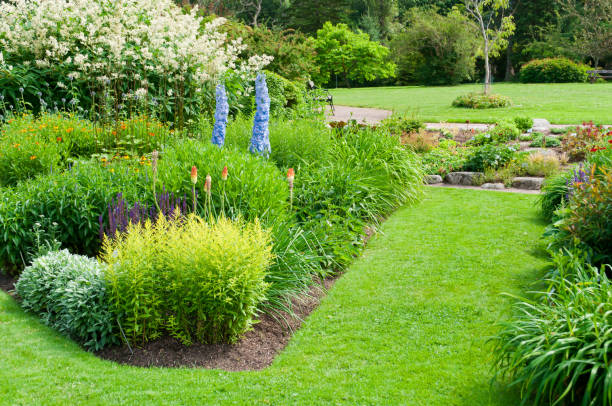 istock Flower beds in Botanical garden 186832325