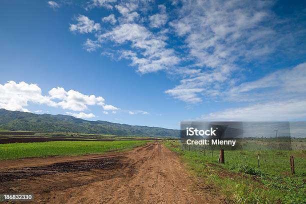 Adobe Strada Di Campagna - Fotografie stock e altre immagini di Isola di Oahu - Isola di Oahu, Agricoltura, Catena di montagne