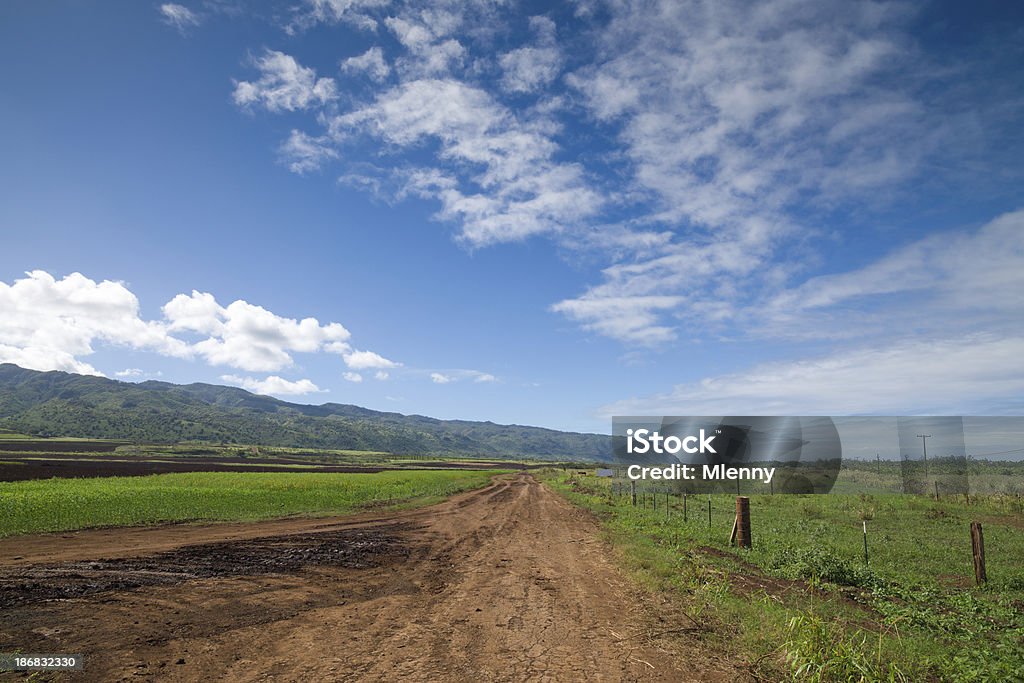 Estrada rural de Adobe - Foto de stock de Oahu royalty-free
